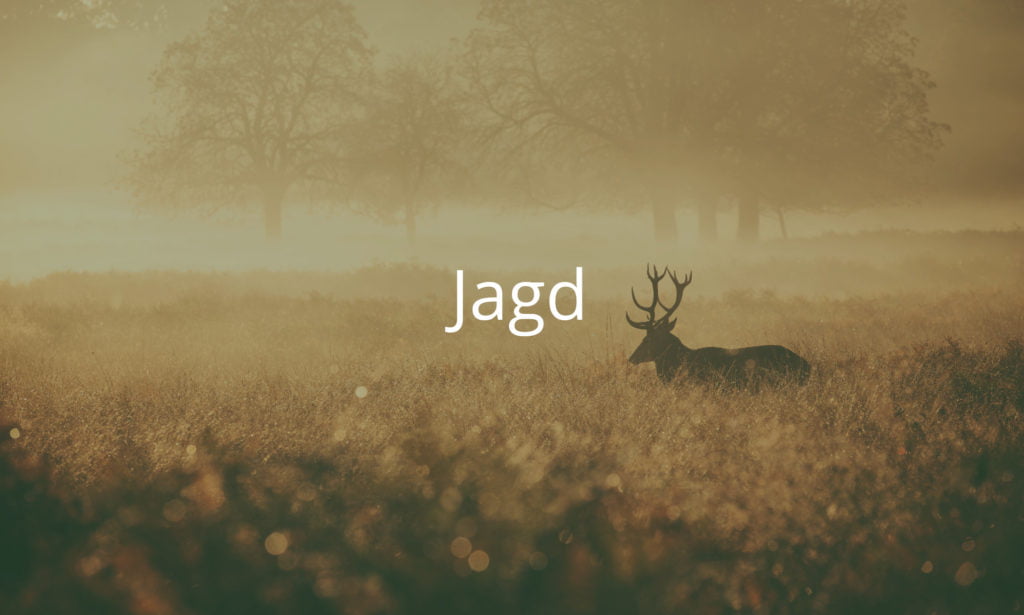 Eigenjagd kaufen verkaufen Lichtung mit Damwild